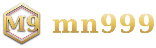 mn999 logo
